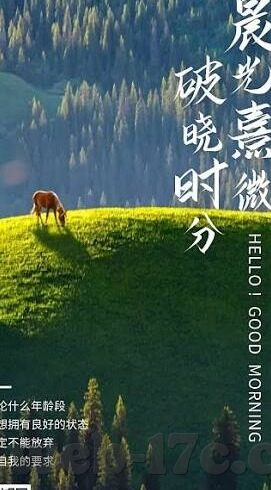 91麻豆国产自拍视频-少女的镜头，解析国产91麻豆自拍视频