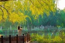 成人免费黄色视频-与网络伦理的边界探讨