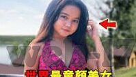 成人性视频4-成人性视频4，网络时代的隐忧与应对策略