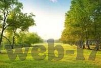精品一区二区三区在线观看视频-探索网络视频平台的多元化内容——精品一区二区三区的在线观看体验