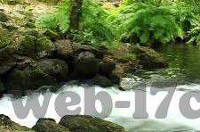 麻豆传媒手机app-揭秘性暗网下的麻豆传媒手机app，警惕网络陷阱的暗流涌动