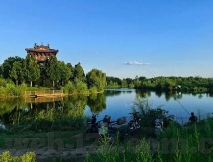 台湾麻豆视频免费观看-探寻网络文化的新维度，台湾麻豆视频的免费观赏体验
