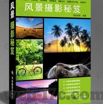 糖心app最新下载地址ios-糖心app，洞见与理解的深度探索