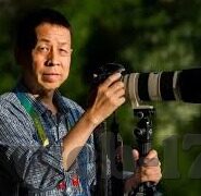 一区二区三区 国产-国产影视的多元化发展，一区二区三区的独特魅力